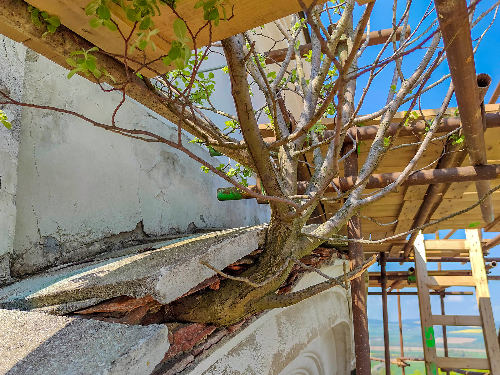 Rekonstrukce zámku Týnec