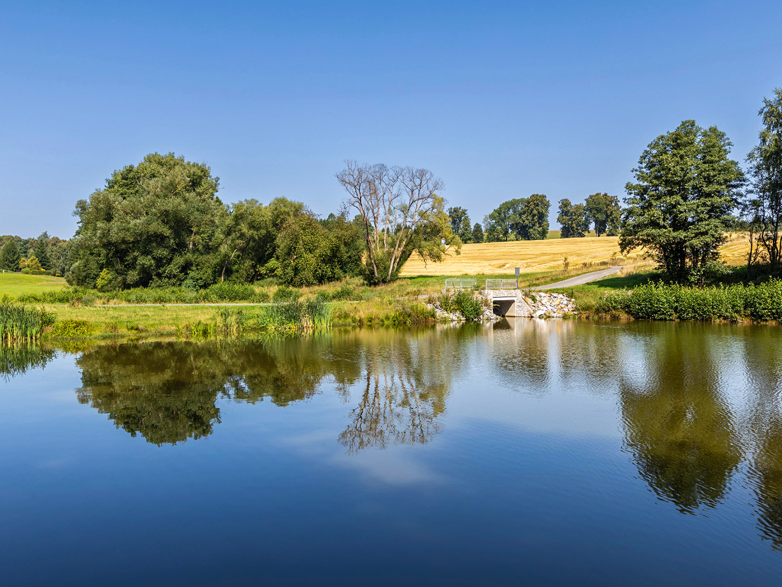 Vodní nádrž Dobroslava a část polní cesty HC08 v k. ú. Těchobuz