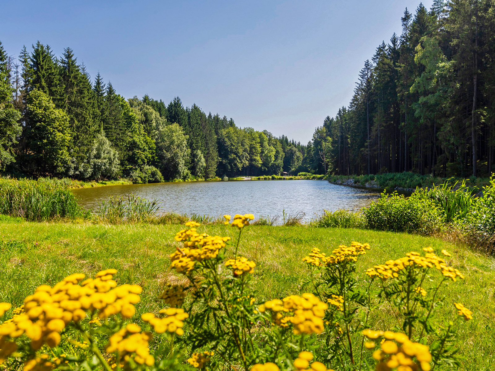 Vodní nádrž Dobroslava a část polní cesty HC08 v k. ú. Těchobuz