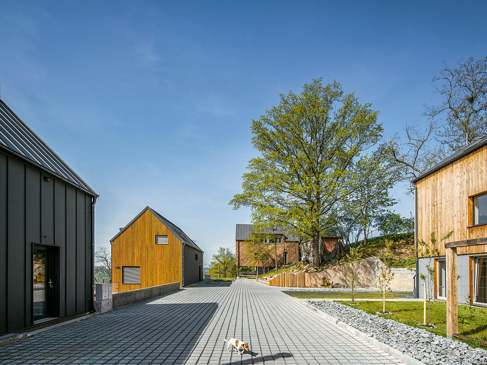 Viničné terasy v Plzni