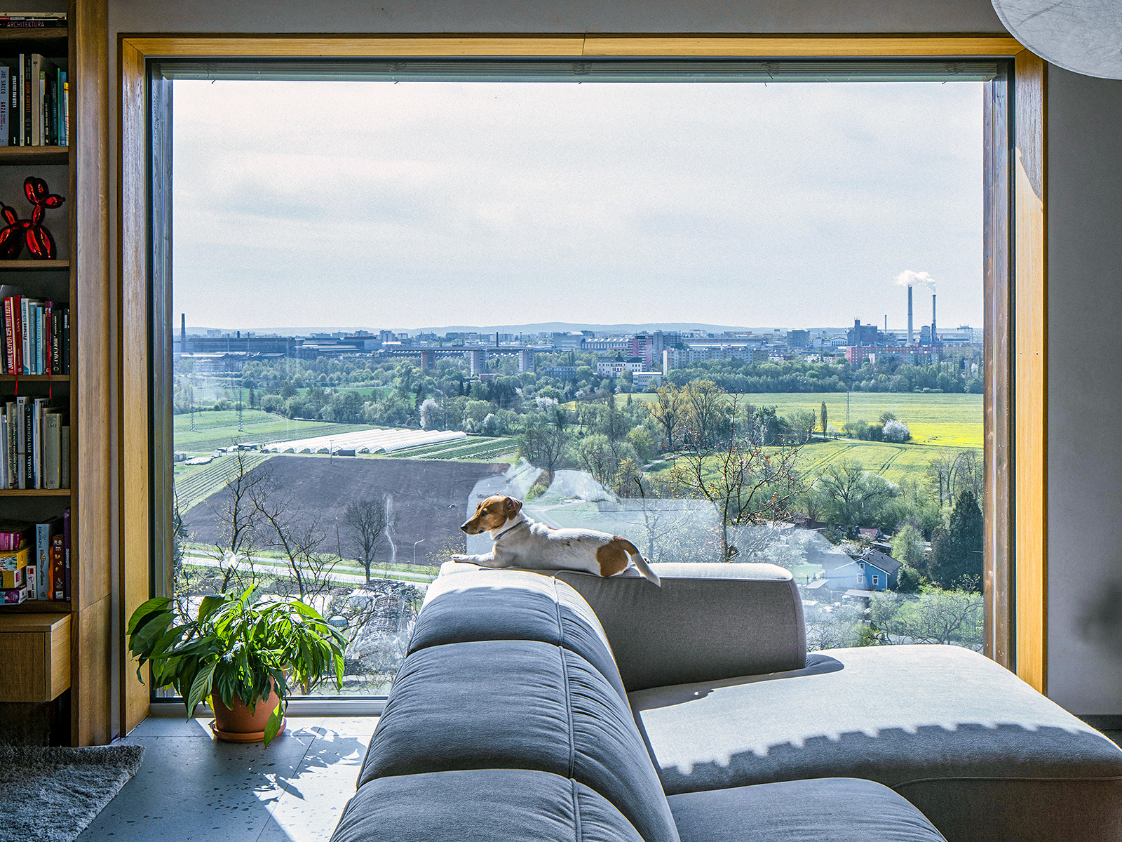 Viničné terasy v Plzni