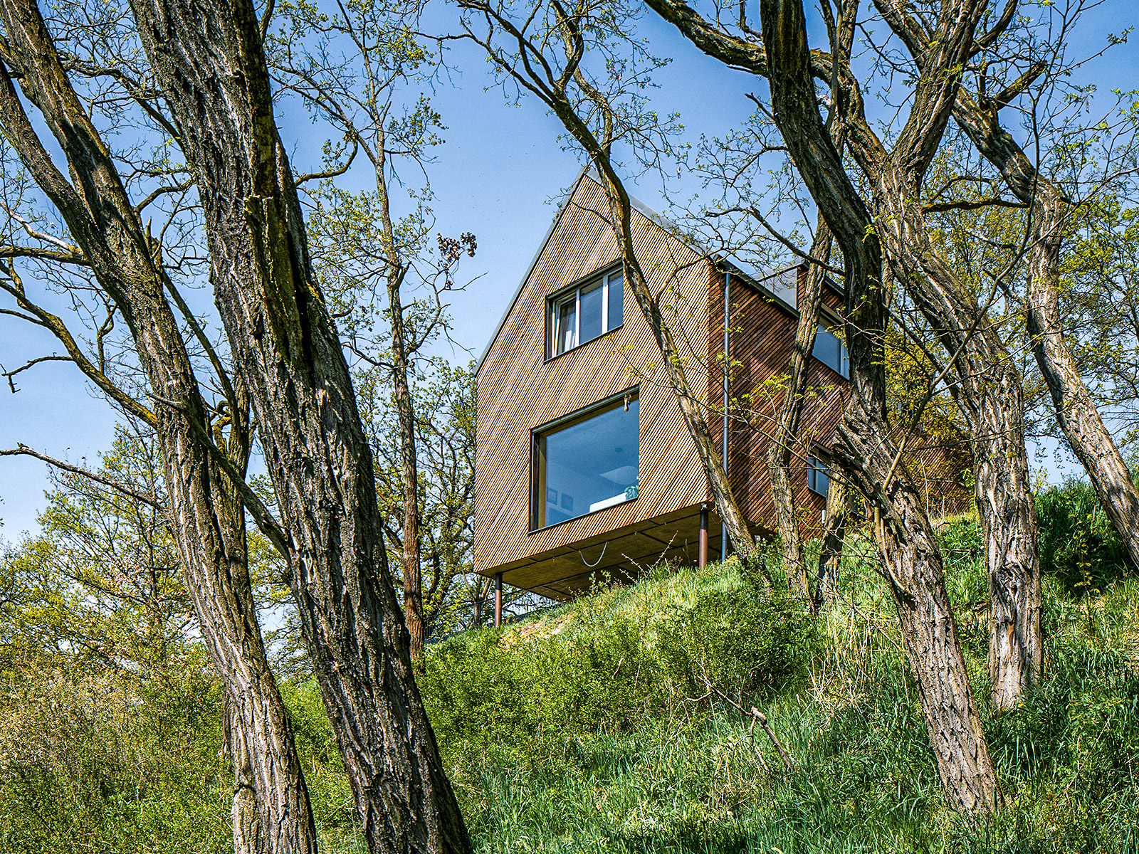 Viničné terasy v Plzni