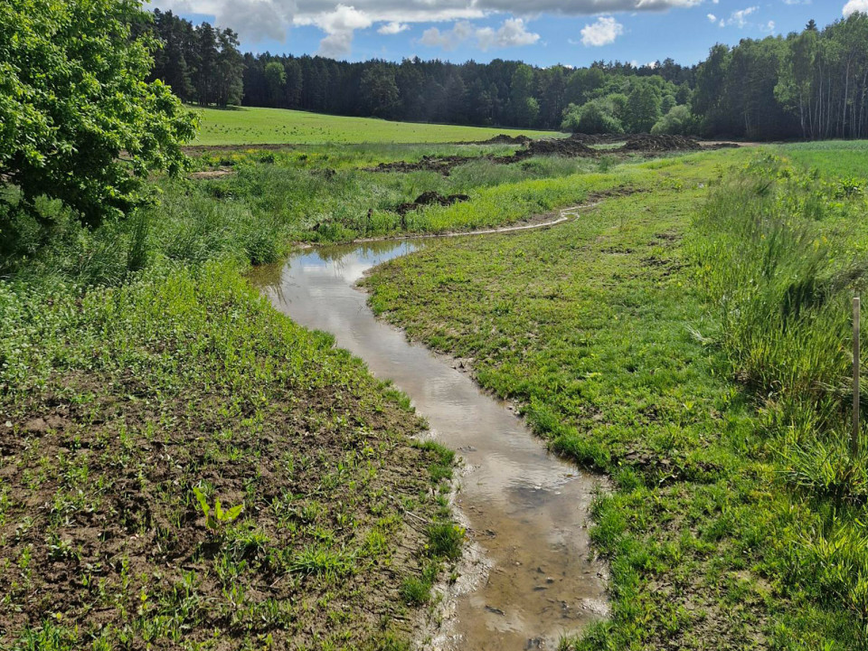 Revitalizace vodního toku Mezholezy u Horšovského Týna