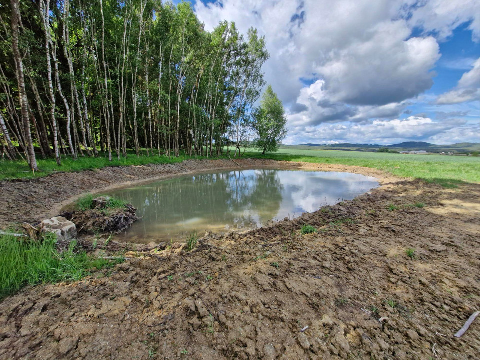 Revitalizace vodního toku Mezholezy u Horšovského Týna